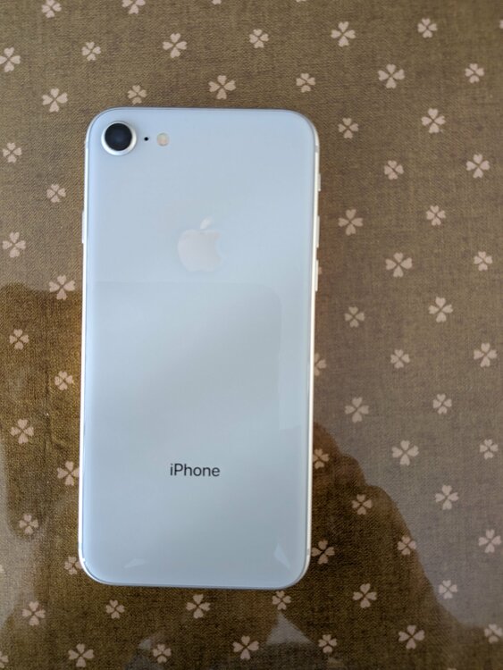 iPhone8（スマホ）の商品画像 - 査定依頼日：2026年1月28日 - 最高査定価格：5,000円