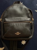 その他 コーチ （ブランドバッグ）の商品画像 - 査定依頼日：2025年7月18日 - 最高査定価格：4,000円