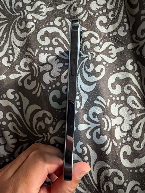 iPhone iPhone 13 Pro Max 256GB Softbank（スマホ）の商品画像 - 査定依頼日：2026年10月9日 - 最高査定価格：62,000円
