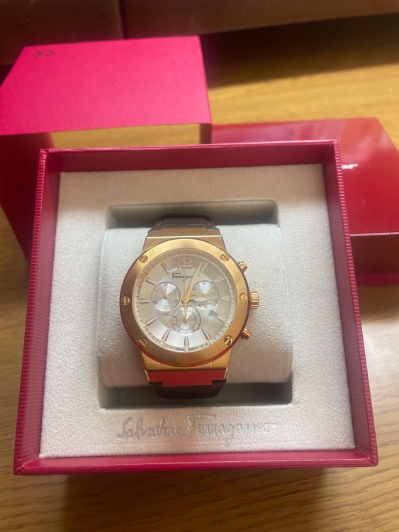 その他 その他 Salvatore Ferragamo(SFEX00419 （高級時計）の商品画像 - 査定依頼日：2026年2月23日 - 最高査定価格：35,000円