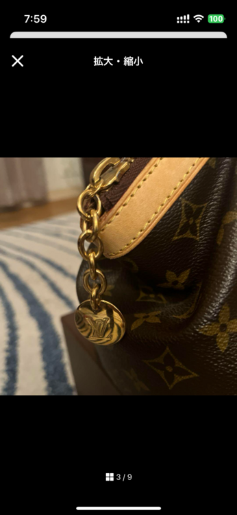 ルイヴィトン モノグラム （ブランドバッグ）の商品画像 - 査定依頼日：2025年1月5日 - 最高査定価格：100,000円