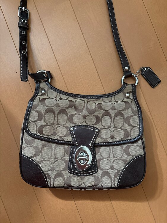 バック（ブランドバッグ）の商品画像 - 査定依頼日：2025年3月29日 - 最高査定価格：2,000円