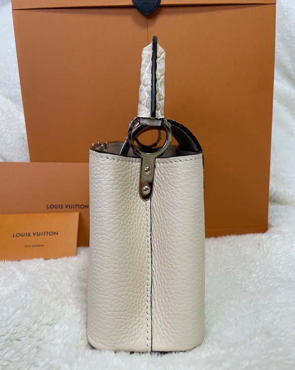 ルイヴィトン ルイヴィトン(その他) （ブランドバッグ）の商品画像 - 査定依頼日：2026年3月26日 - 最高査定価格：100,000円