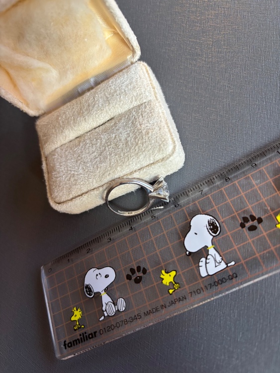 一粒タテヅメリング（宝石）の商品画像 - 査定依頼日：2026年1月16日 - 最高査定価格：600,000円