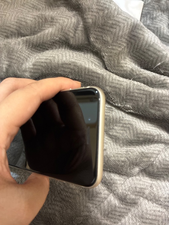 iPhone iPhone SE (第 3 世代) 256GB SIMフリー（スマホ）の商品画像 - 査定依頼日：2026年7月20日 - 最高査定価格：30,000円