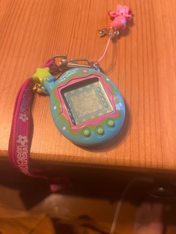 たまごっち（その他のおもちゃ）の商品画像 - 査定依頼日：2025年3月8日 - 最高査定価格：5,000円