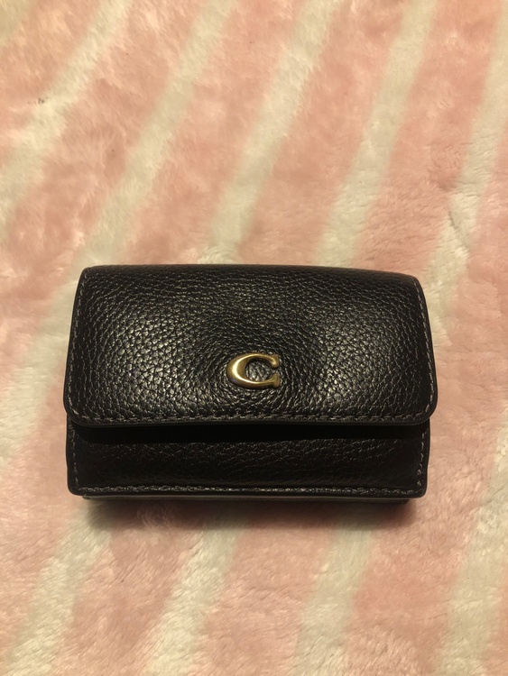 その他 コーチ （ブランドバッグ）の商品画像 - 査定依頼日：2026年1月23日 - 最高査定価格：1,500円