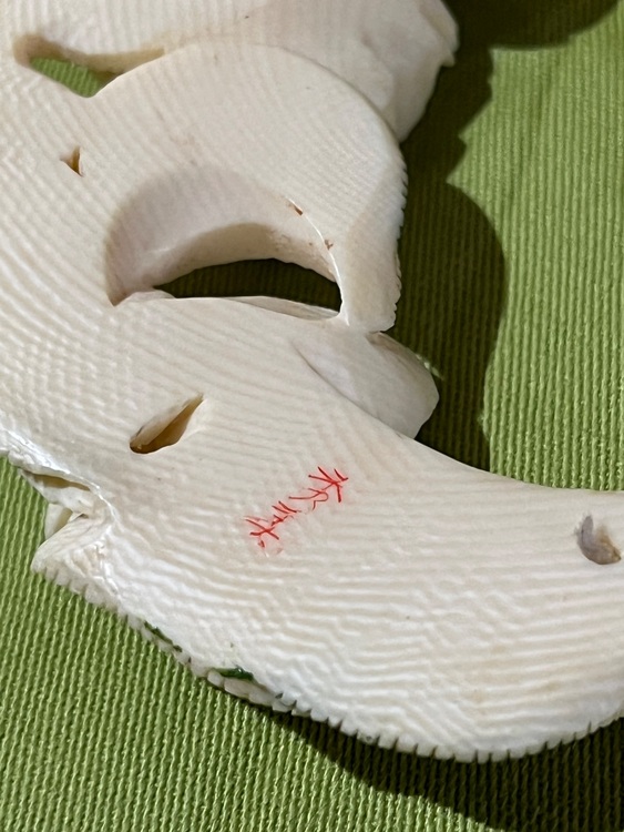 荒巻秀美 作  象牙彫刻 ネックレス 椿（美術品・骨董品）の商品画像 - 査定依頼日：2025年11月5日 - 最高査定価格：4,000円