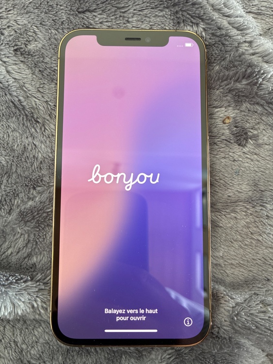 iPhone 12 Pro 256GB SIMフリー（スマホ）の商品画像 - 査定依頼日：2026年3月5日 - 最高査定価格：31,000円