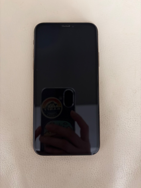 iPhoneXS 256GB SIMフリー（スマホ）の商品画像 - 査定依頼日：2026年3月31日 - 最高査定価格：16,000円