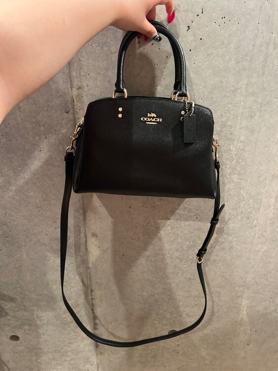 その他 コーチ （ブランドバッグ）の商品画像 - 査定依頼日：2025年5月12日 - 最高査定価格：8,000円