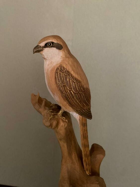 島田恭宏 作 木彫「百舌（もず）」 木彫彫刻 鳥 美術品 置物（美術品・骨董品）の商品画像 - 査定依頼日：2026年7月19日 - 最高査定価格：3,000円
