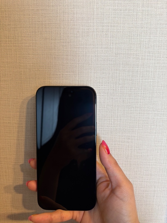 iPhone iPhone 16 Pro Max 256GB SIMフリー（スマホ）の商品画像 - 査定依頼日：2026年6月19日 - 最高査定価格：132,500円