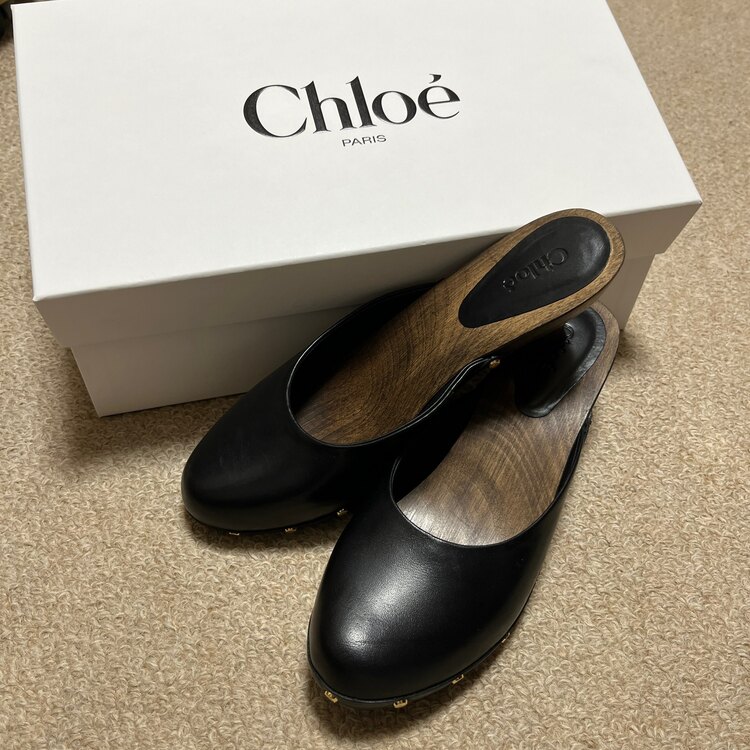 その他 クロエ （ブランドバッグ）の商品画像 - 査定依頼日：2025年3月13日 - 最高査定価格：22,000円