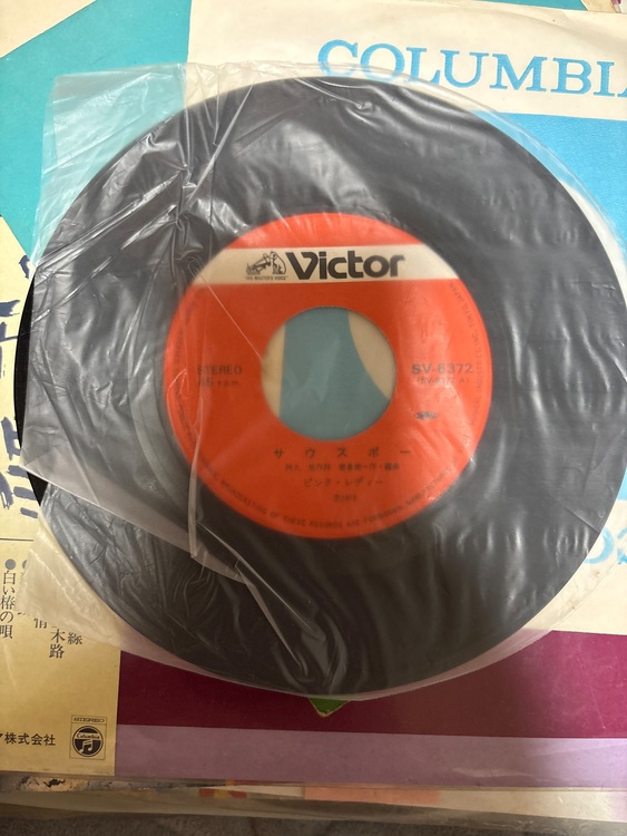 サウスポー（レコード）の商品画像 - 査定依頼日：2025年11月16日 - 最高査定価格：250円