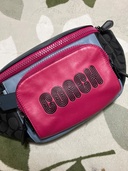 その他 コーチ （ブランドバッグ）の商品画像 - 査定依頼日：2026年3月19日 - 最高査定価格：3,000円