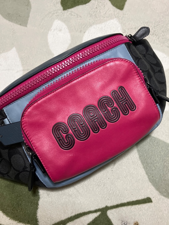 その他 コーチ （ブランドバッグ）の商品画像 - 査定依頼日：2026年3月19日 - 最高査定価格：3,000円