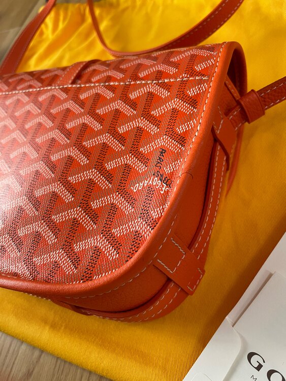 ゴヤール  （ブランドバッグ）の商品画像 - 査定依頼日：2025年5月14日 - 最高査定価格：310,000円