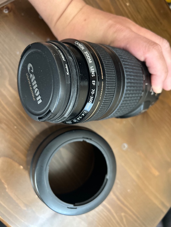 キヤノズームレンズEF 70-300mm 1:4-5.6 IS USM（カメラ）の商品画像 - 査定依頼日：2026年3月22日 - 最高査定価格：15,100円