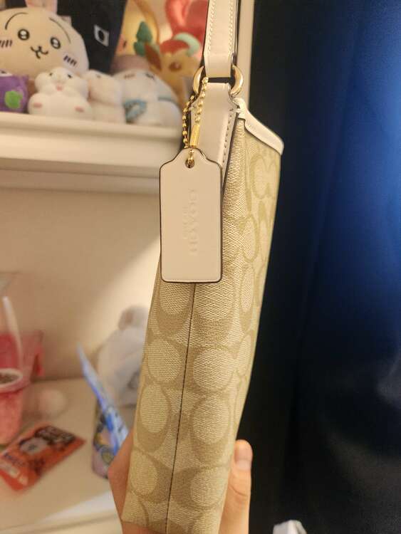 その他 コーチ （ブランドバッグ）の商品画像 - 査定依頼日：2025年3月30日 - 最高査定価格：3,000円