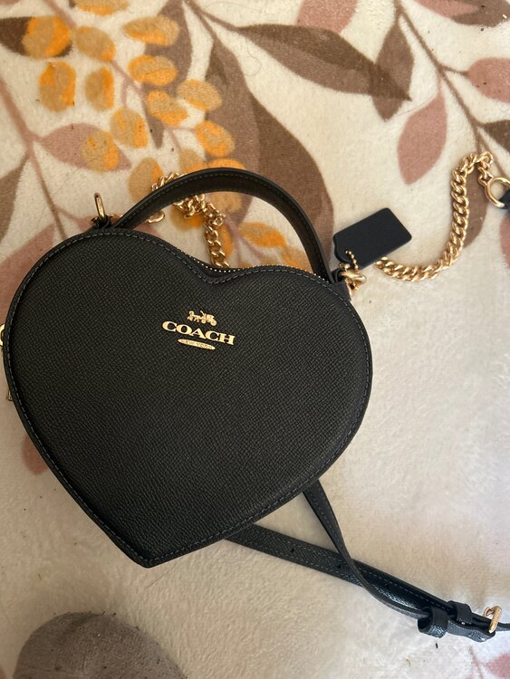 その他 コーチ （ブランドバッグ）の商品画像 - 査定依頼日：2024年12月26日 - 最高査定価格：10,000円