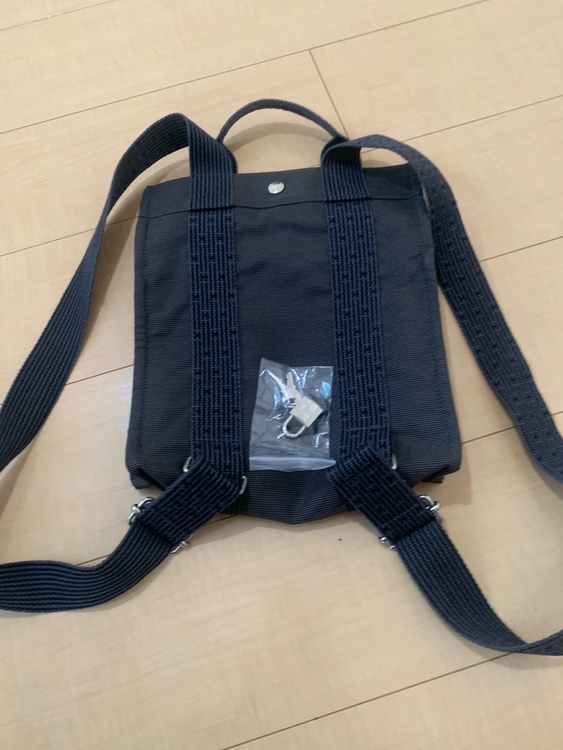 エールラインリュック（ブランドバッグ）の商品画像 - 査定依頼日：2025年12月6日 - 最高査定価格：30,000円