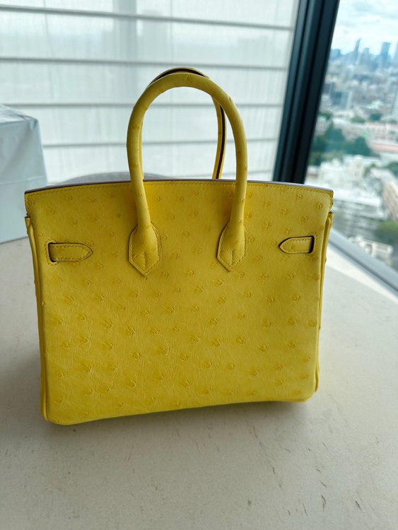 バーキン25cm（ブランドバッグ）の商品画像 - 査定依頼日：2026年6月18日 - 最高査定価格：3,300,000円