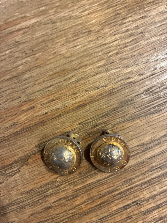 イヤリング（ブランド財布・小物）の商品画像 - 査定依頼日：2025年5月4日 - 最高査定価格：100,000円