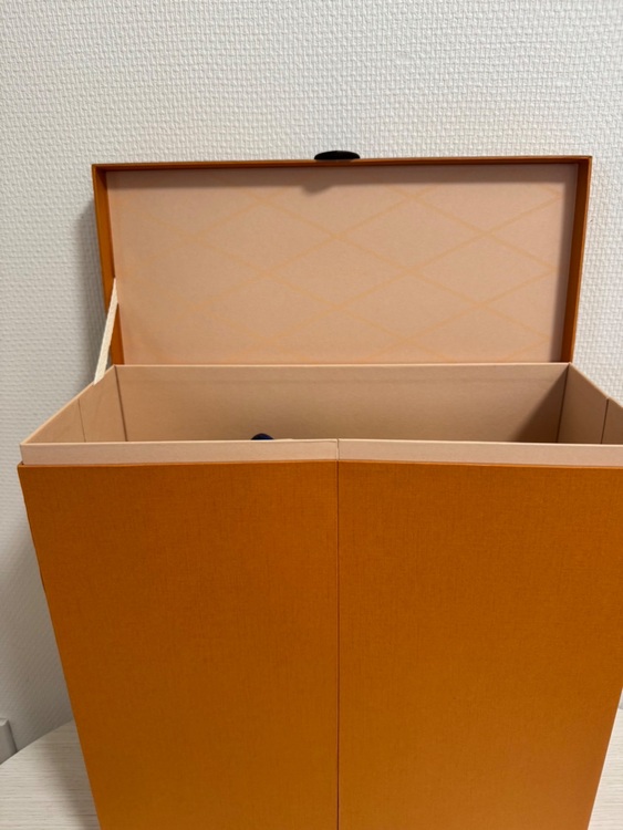 カプシーヌ（ブランドバッグ）の商品画像 - 査定依頼日：2025年6月21日 - 最高査定価格：1,150,000円