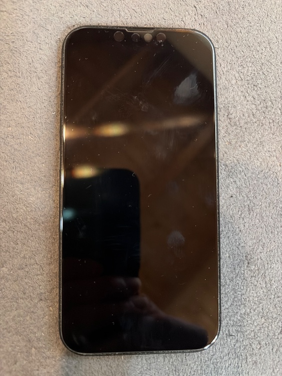 iPhone iPhone 16 256GB Softbank（スマホ）の商品画像 - 査定依頼日：2026年6月6日 - 最高査定価格：93,000円
