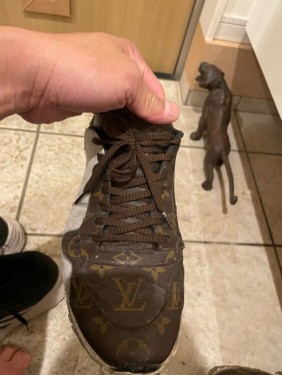 ルイヴィトンスニーカー（古着・ファッション）の商品画像 - 査定依頼日：2025年3月20日 - 最高査定価格：3,000円