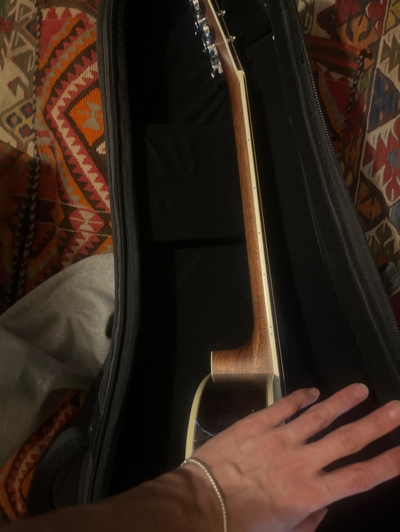 washburn（ピアノ・楽器・PA機材）の商品画像 - 査定依頼日：2026年4月17日 - 最高査定価格：20,000円