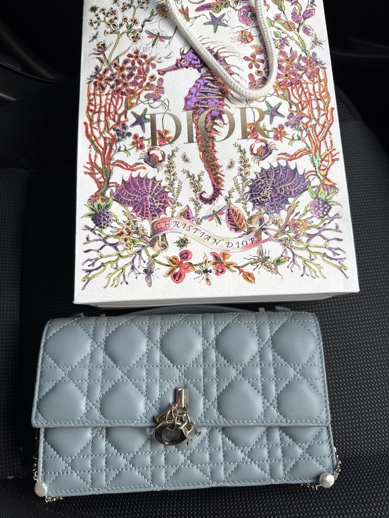 ディオール  （ブランドバッグ）の商品画像 - 査定依頼日：2026年1月23日 - 最高査定価格：200,000円