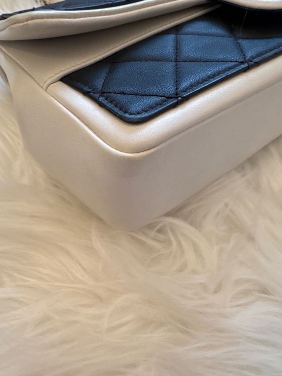 バイカラー（ブランドバッグ）の商品画像 - 査定依頼日：2026年3月6日 - 最高査定価格：350,000円