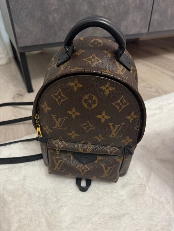 パームスプリングスバックパックMINI（ブランドバッグ）の商品画像 - 査定依頼日：2025年2月28日 - 最高査定価格：100,000円