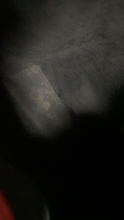 ノエ バイカラー（ブランドバッグ）の商品画像 - 査定依頼日：2022年5月25日 - 最高査定価格：30,000円