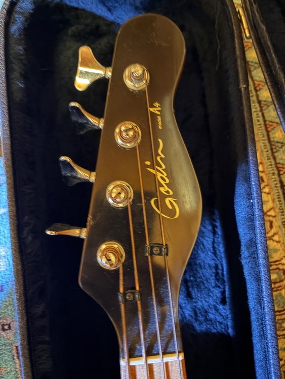 Godin model A4（ピアノ・楽器・PA機材）の商品画像 - 査定依頼日：2026年10月2日 - 最高査定価格：45,000円