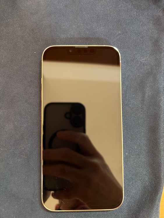 iPhone 13 Pro 256GB SIMフリー（スマホ）の商品画像 - 査定依頼日：2026年2月2日 - 最高査定価格：53,000円