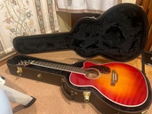 Takamine DMP551C