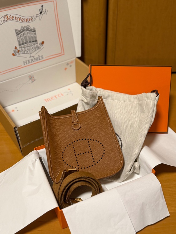 ミニエブリン（ブランドバッグ）の商品画像 - 査定依頼日：2025年10月24日 - 最高査定価格：340,000円