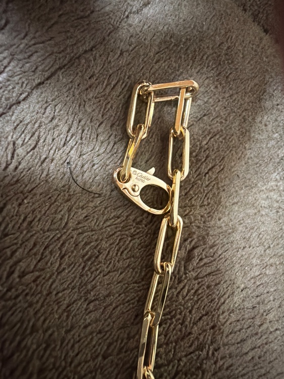 ネックレス（金・貴金属）の商品画像 - 査定依頼日：2026年1月23日 - 最高査定価格：750,000円