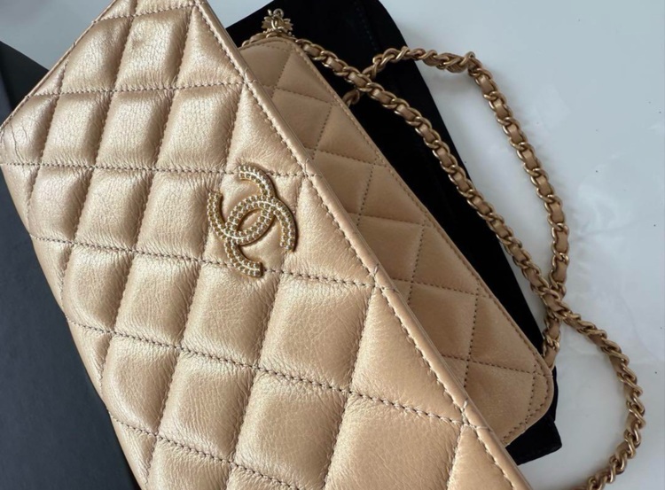 チェーンウォレット（ブランドバッグ）の商品画像 - 査定依頼日：2025年10月15日 - 最高査定価格：250,000円