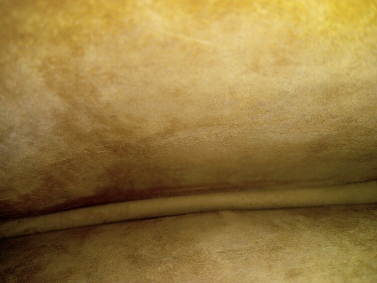 セカンドバッグ（ブランドバッグ）の商品画像 - 査定依頼日：2025年12月21日 - 最高査定価格：15,000円