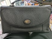 その他 その他 （ブランドバッグ）の商品画像 - 査定依頼日：2026年2月3日 - 最高査定価格：1,000円