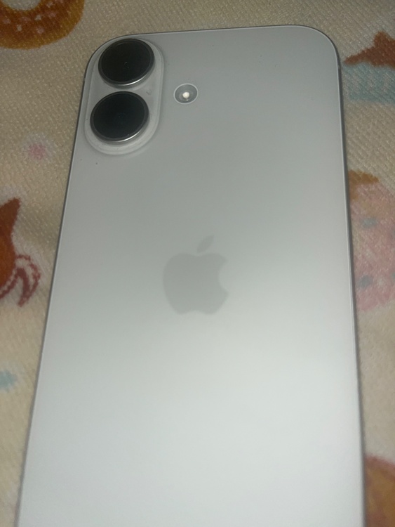 iPhone iPhone 17 256GB docomo（スマホ）の商品画像 - 査定依頼日：2026年6月25日 - 最高査定価格：98,000円