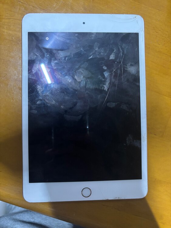 iPad Mini A2124（PC・タブレット）の商品画像 - 査定依頼日：2025年4月22日 - 最高査定価格：5,000円