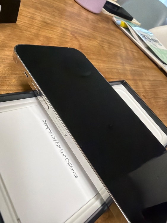iPhone iPhone 13 Pro Max 256GB SIMフリー（スマホ）の商品画像 - 査定依頼日：2026年7月4日 - 最高査定価格：62,000円