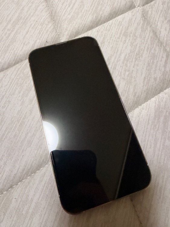 iPhone13Pro（スマホ）の商品画像 - 査定依頼日：2026年9月26日 - 最高査定価格：44,500円