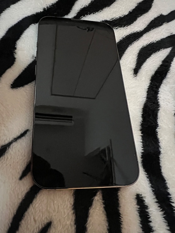 iPhone13Pro（スマホ）の商品画像 - 査定依頼日：2026年1月28日 - 最高査定価格：49,000円