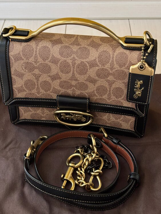 その他 コーチ （ブランドバッグ）の商品画像 - 査定依頼日：2025年4月21日 - 最高査定価格：15,000円